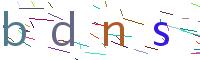 Verify Code